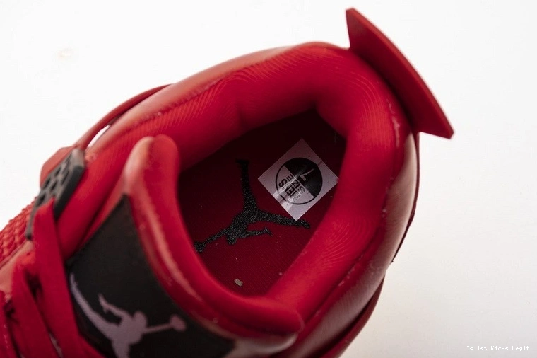 Jordan 4 Singles Air AV3914-600 Day 0224